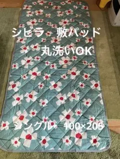 丸洗い可【シビラ】アマポラス　敷パッド　シングル　100×205ブルー