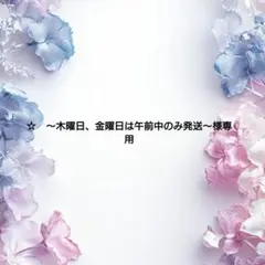 ☆　〜木曜日、金曜日は午前中のみ発送〜様 リクエスト 3点 まとめ商品