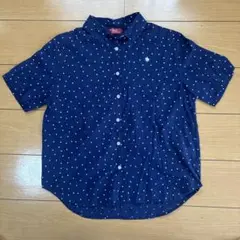 POLO ネイビー ドット柄 半袖シャツ M コットン100