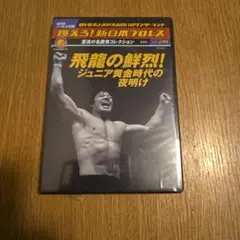 燃えろ！新日本プロレスvol.28