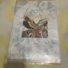 米津玄師 LOST CORNER 虎に翼クリアファイル
