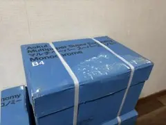 Item thumbnail for item 97f3a550-ce0d-410c-948a-0adf25686ab5