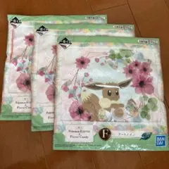 【未開封】ポケモン イーブイ フローラルキャンディ タオル 3枚セット