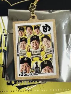 オリックス・バファローズ 古田島成龍 常熱かるたキーホルダー