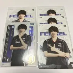 IJLカード FL Emmko