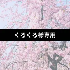 専用出品です