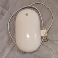 Item thumbnail for item 9f690eac-483f-460c-a71d-be8b818cb92e