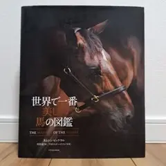 世界で一番美しい馬の図鑑