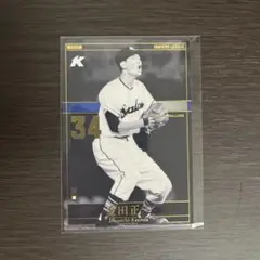 Item thumbnail for item f0a1fb1f-1985-4bdb-ab4c-efc2b4744962