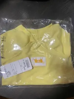 Item thumbnail for item 86bf0923-9251-4f34-8db4-9f2496d83119