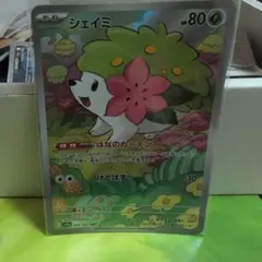 シェイミ ポケモンカード 80HP