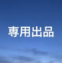 専用出品