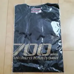 Item thumbnail for item 2ac63a2b-c20d-4247-96e1-fb0fe26427a4