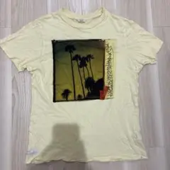 FRANKLIN MARSHALL パームツリーTシャツ