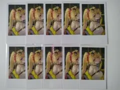 Item thumbnail for item 6ef91a5a-cae4-43ee-aa84-4b9bed5d0aa3