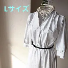 Item thumbnail for item e9a4fe74-c8f7-4c10-862a-30fab8febb98