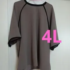 大きいサイズ 4L ブラウン ラグランスリーブ トップス