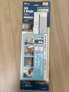 LEDイーブライトスリム多目的灯　コンセント式302mm