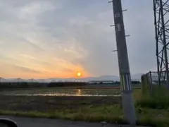 俺の愛情「欲しけりゃくれてやる」