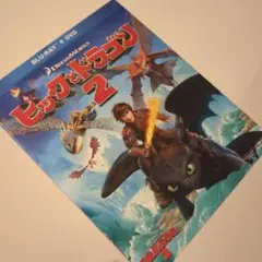ヒックとドラゴン2 ブルーレイ&DVD('14米)〈初回生産限定・2枚組〉