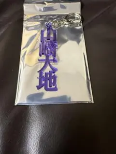 サンフレッチェ 広島 ガチャ 3 山﨑大地 漢字アクリルキーホルダー 新品