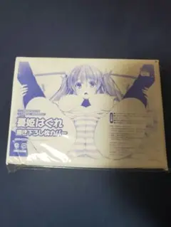 【新品未開封】憂姫はぐれ描き下ろし枕カバー 電撃おとなの萌王 Vol.04付録
