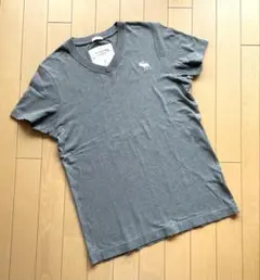 Abercrombie & Fitch アバクロ　Tシャツ　グレー