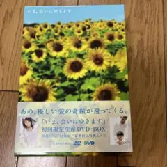 いま、会いにゆきます　DVD