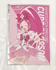 キュアブロッサム　ピックアップ　ポストカード　5弾　ハートキャッチプリキュア