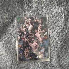 RIZIN 48 ダブルタイトルマッチ トレーディングカード