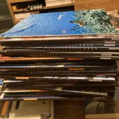 Patagonia カタログ　catalog 31冊セット