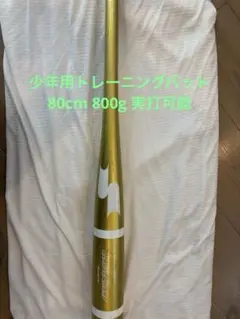 SSK 少年用トレーニングバット SBB7013 80cm 800g 実打可能