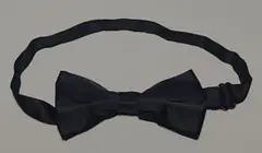 Item thumbnail for item 1cb57761-c522-4902-b06c-22fb21d4560e