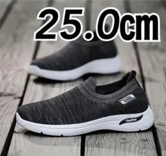 Item thumbnail for item 54a3c5c5-d284-4095-a71d-a232fa51fcd7