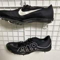Item thumbnail for item 02834f11-1c8f-46d0-abe8-4cc25c082057