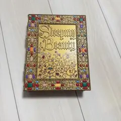 眠れる森の美女　アクセサリーケース　ディズニー　disney