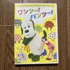 NHK DVD いないいないばあっ!ワンツー!パンツー!