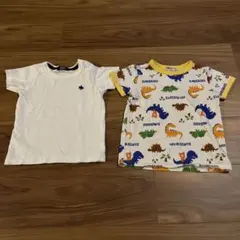 恐竜柄TシャツとホワイトTシャツセット 100cm