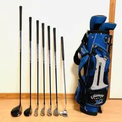 Item thumbnail for item 76f94aef-8a41-467e-8120-353859350490