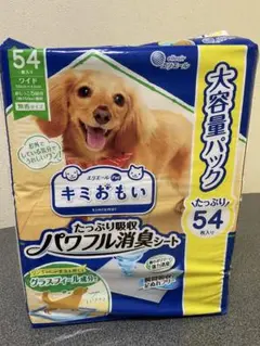 Item thumbnail for item c42d2898-737b-4063-8da4-6571604c654d