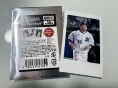 千葉ロッテ シークレットチェキ 佐藤都志也