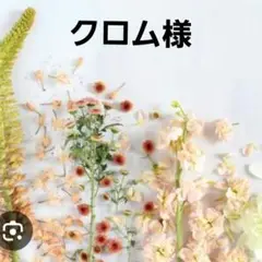 激レアねこパネル生地　ハンドメイド