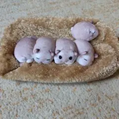 YOU+MORE! ハムスター　ティッシュカバー