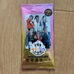 私立すとぷり小学校 コココロSPキャグポーズ 生写真 12種セット