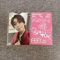 SEVENTEEN SPILL THE FEELS トレカ　ウォヌ