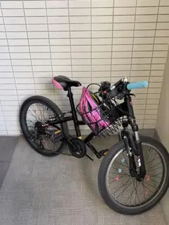 トレック TREK キッズバイク20インチ Precaliber 114-132