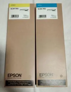 【期間限定品】 EPSON インクカートリッジ 環境推進インク 2個セット