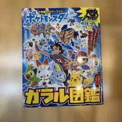 ポケットモンスター ガラル図鑑