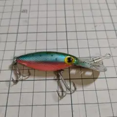 ホッテントット