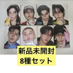 KARMA 新品未開封 アルバム アコーディオン 8枚 コンプリート セット